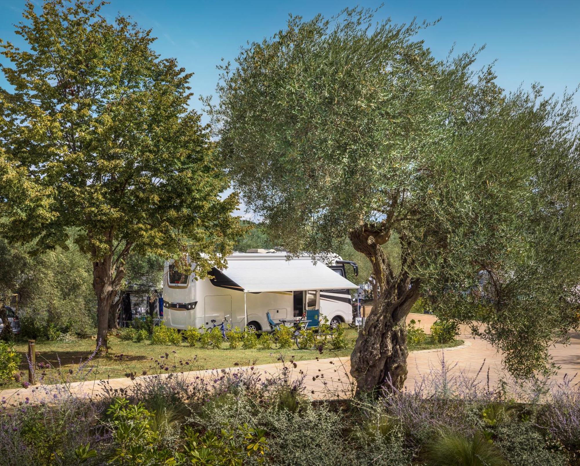 Maistra Camping Koversada Uncovered Naturist Pitches Vrsar Exterior foto